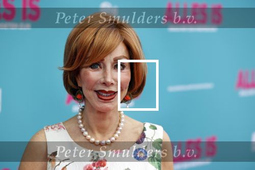 Amsterdam 29 juli 2020
Premiere alles is zoals het zou moeten zijn in euroscoop, De film is naar een boek van Daphne Deckers. Marijke Helwegen kwam met een kennis