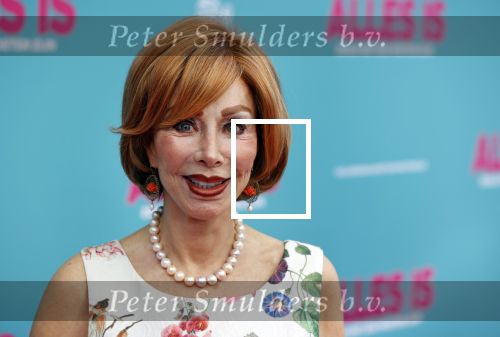 Amsterdam 29 juli 2020
Premiere alles is zoals het zou moeten zijn in euroscoop, De film is naar een boek van Daphne Deckers. Marijke Helwegen kwam met een kennis