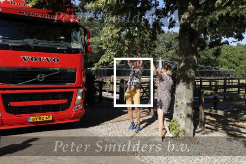 Hengelo (GLD) 31 Juli 2020
Verhuizing Martien Meiland