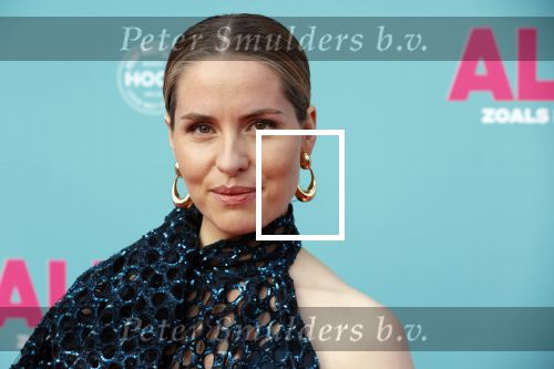 Amsterdam 29 juli 2020
Premiere alles is zoals het zou moeten zijn in euroscoop, De film is naar een boek van Daphne Deckers. Sanne Langelaar