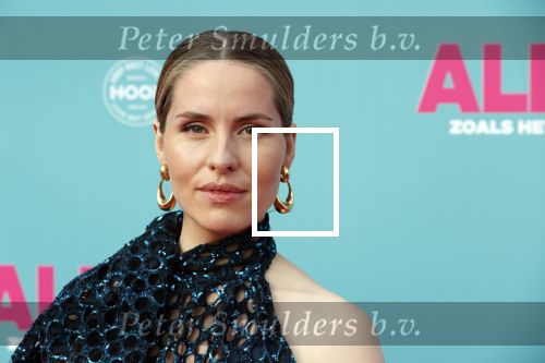 Amsterdam 29 juli 2020
Premiere alles is zoals het zou moeten zijn in euroscoop, De film is naar een boek van Daphne Deckers. Sanne Langelaar