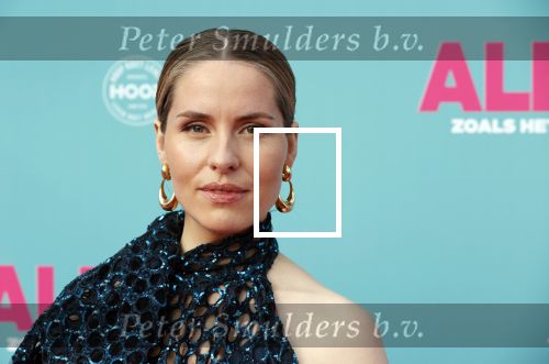 Amsterdam 29 juli 2020
Premiere alles is zoals het zou moeten zijn in euroscoop, De film is naar een boek van Daphne Deckers. Sanne Langelaar