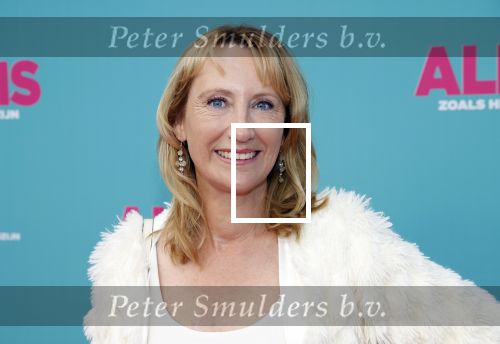Amsterdam 29 juli 2020
Premiere alles is zoals het zou moeten zijn in euroscoop, De film is naar een boek van Daphne Deckers. Simone v d Vlugt