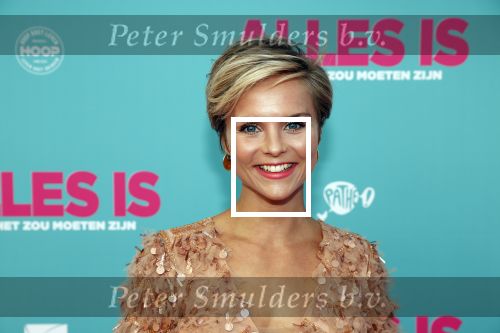 Amsterdam 29 juli 2020
Premiere alles is zoals het zou moeten zijn in euroscoop, De film is naar een boek van Daphne Deckers. Stijn Franken kwam met een vriend