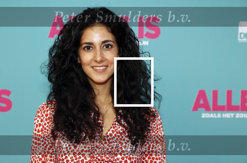 Amsterdam 29 juli 2020
Premiere alles is zoals het zou moeten zijn in euroscoop, De film is naar een boek van Daphne Deckers. Toprak Yalciner