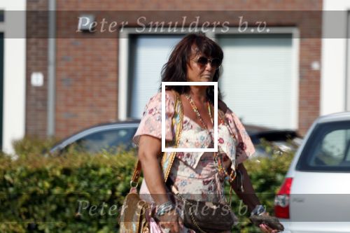 Landsmeer 20 juli 2022
Frank Masmeijer woont bij zijn vriendin Anita in een appartement