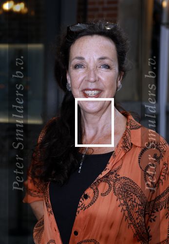 Amsterdam 25 juli 2022
Premiere Falsettos in het deLamar Theater. Frederique Sluyterman van Loo