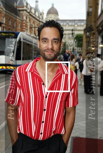 Amsterdam 25 juli 2022
Premiere Falsettos in het deLamar Theater. Freek Bartels