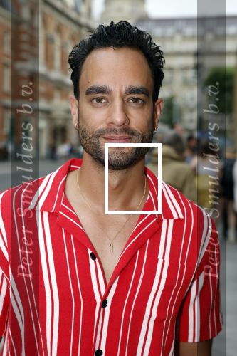 Amsterdam 25 juli 2022
Premiere Falsettos in het deLamar Theater. Freek Bartels
