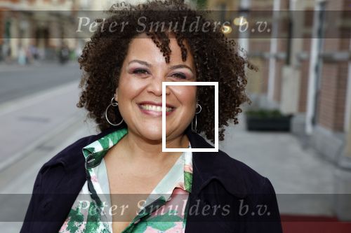 Amsterdam 25 juli 2022
Premiere Falsettos in het deLamar Theater. Jeannine La Rose met ...