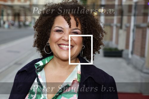 Amsterdam 25 juli 2022
Premiere Falsettos in het deLamar Theater. Jeannine La Rose met ...