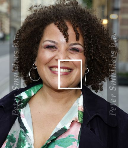 Amsterdam 25 juli 2022
Premiere Falsettos in het deLamar Theater. Jeannine La Rose met ...