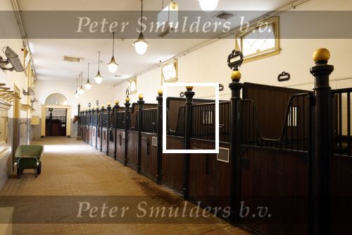 Den Haag 21 juli 2022
Binnenkijken bij paleis Noordeinde en de koninklijke stallen.