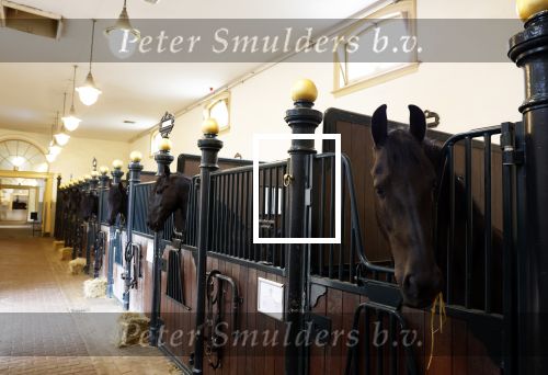Den Haag 21 juli 2022
Binnenkijken bij paleis Noordeinde en de koninklijke stallen.
Paard in koninklijke stallen