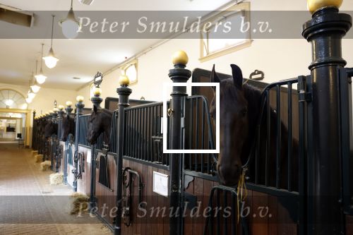 Den Haag 21 juli 2022
Binnenkijken bij paleis Noordeinde en de koninklijke stallen.
Paard in koninklijke stallen