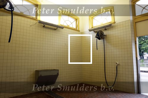 Den Haag 21 juli 2022
Binnenkijken bij paleis Noordeinde en de koninklijke stallen.