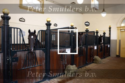 Den Haag 21 juli 2022
Binnenkijken bij paleis Noordeinde en de koninklijke stallen.
Paard in koninklijke stallen