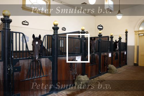 Den Haag 21 juli 2022
Binnenkijken bij paleis Noordeinde en de koninklijke stallen.
Paard in koninklijke stallen