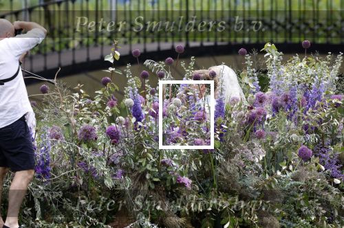 Oegstgeest 30 juli 2022
Trouwen Maxime Meiland en Leroy Molkenboer op kasteel Oud Poelgeest . Aanwezig natuurlijk Martien Meiland Erica Meiland Montana Meiland en haar partner Dirk Hoogstraten. Ook hun dochters Claire en Vive waren aanwezig.