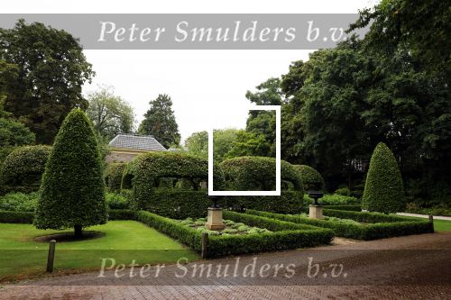 Den Haag 21 juli 2022
Binnenkijken bij paleis Noordeinde en de koninklijke stallen. Tuin Paleis noordeinde