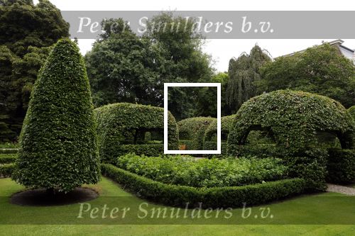Den Haag 21 juli 2022
Binnenkijken bij paleis Noordeinde en de koninklijke stallen. Tuin Paleis noordeinde