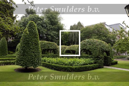 Den Haag 21 juli 2022
Binnenkijken bij paleis Noordeinde en de koninklijke stallen. Tuin Paleis noordeinde