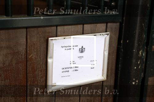 Den Haag 21 juli 2022
Binnenkijken bij paleis Noordeinde en de koninklijke stallen.
Paard Vitus