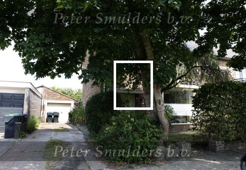 Harderwijk 20 juli 2022
Huis Volkert v d Graaf