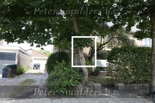 Harderwijk 20 juli 2022
Huis Volkert v d Graaf