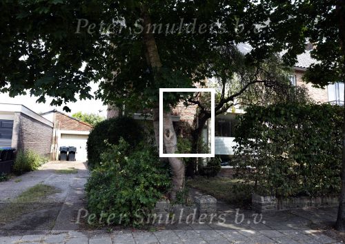 Harderwijk 20 juli 2022
Huis Volkert v d Graaf