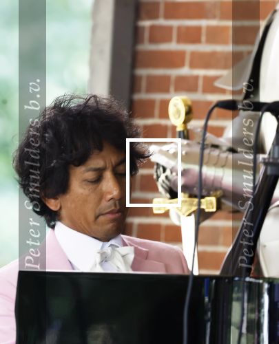 Diepenheim 31 juli 2022
Wibi Soerjadi krijgt na een tuinconcert in de tuin van zij n huis een koninklijke onderscheiding . Zijn nieuwe vriendin Myrthe is aanwezig .