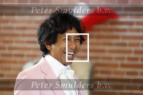 Diepenheim 31 juli 2022
Wibi Soerjadi krijgt na een tuinconcert in de tuin van zij n huis een koninklijke onderscheiding . Zijn nieuwe vriendin Myrthe is aanwezig .