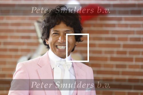 Diepenheim 31 juli 2022
Wibi Soerjadi krijgt na een tuinconcert in de tuin van zij n huis een koninklijke onderscheiding . Zijn nieuwe vriendin Myrthe is aanwezig .
