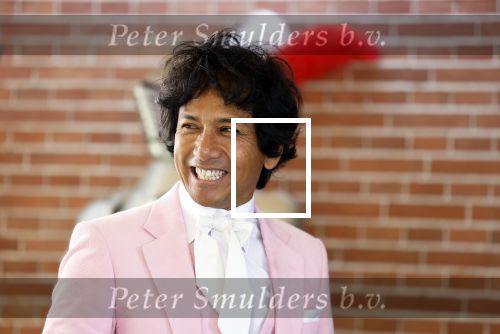 Diepenheim 31 juli 2022
Wibi Soerjadi krijgt na een tuinconcert in de tuin van zij n huis een koninklijke onderscheiding . Zijn nieuwe vriendin Myrthe is aanwezig .