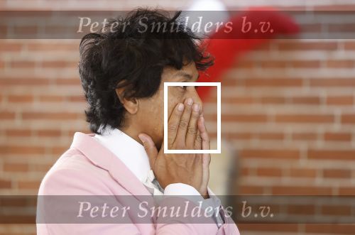 Diepenheim 31 juli 2022
Wibi Soerjadi krijgt na een tuinconcert in de tuin van zij n huis een koninklijke onderscheiding . Zijn nieuwe vriendin Myrthe is aanwezig .