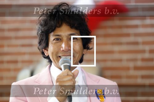 Diepenheim 31 juli 2022
Wibi Soerjadi krijgt na een tuinconcert in de tuin van zij n huis een koninklijke onderscheiding . Zijn nieuwe vriendin Myrthe is aanwezig .