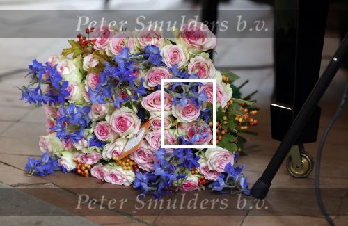 Diepenheim 31 juli 2022
Wibi Soerjadi krijgt na een tuinconcert in de tuin van zij n huis een koninklijke onderscheiding . Zijn nieuwe vriendin Myrthe is aanwezig .
