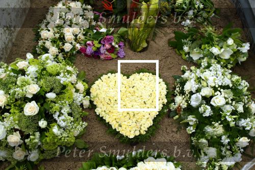 Scheveningen 4 januari 2004
Begraafplaats  St Petrus Banden in Scheveningen waar Guusje Nederhorst begraven is
Peter Smulders bv