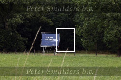 Lage Vuursche 28 juli 2023
Palijs Drakensteyn van prinss Beatrix . De poort is geschilderd en in de tuin staan hekken met donkee doeken voor privacy . Naast het landgoed is een stuk bouwgrond te koop.