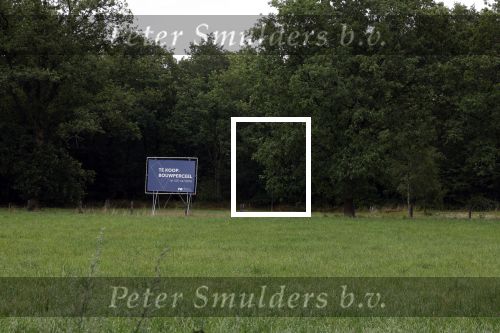 Lage Vuursche 28 juli 2023
Palijs Drakensteyn van prinss Beatrix . De poort is geschilderd en in de tuin staan hekken met donkee doeken voor privacy . Naast het landgoed is een stuk bouwgrond te koop.