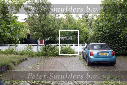 Landsmeer 5 juli 2023
Bij het nieuwe huis van Carlo Boszhard is een boom omgewaaid met storm Poly