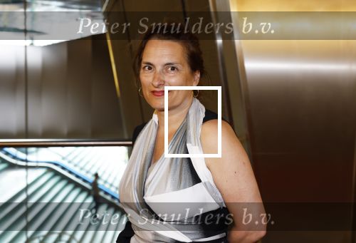 Amsterdam 19 juli 2023
Premiere Oppenheimer in Pathe Arena.
Carly Wijs