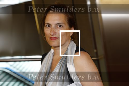 Amsterdam 19 juli 2023
Premiere Oppenheimer in Pathe Arena.
Carly Wijs