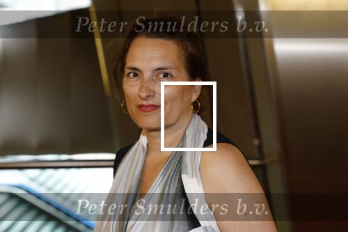 Amsterdam 19 juli 2023
Premiere Oppenheimer in Pathe Arena.
Carly Wijs