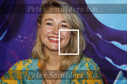 Amsterdam 24 juni 2023
Premiere TIENER MET TENTAKELS in Pathe Arena .
Carolien Spoor