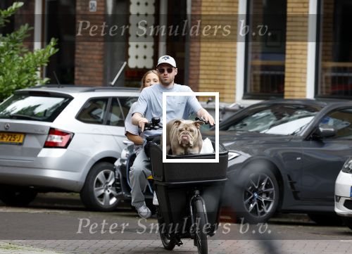 Amsterdam 14 juli 2023
Davy Klaassen met vriendin en hond op de bakfiets in Amsterdam zuid.