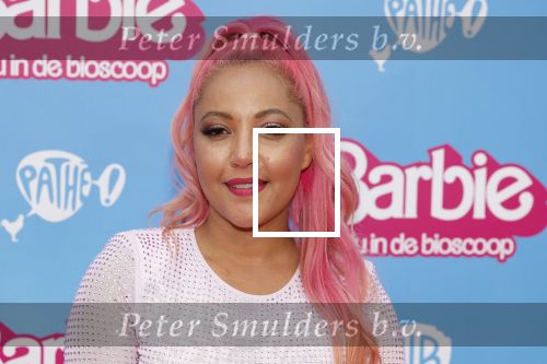 Amsterdam 18 juli 2023
Premiere Barbie in Tuschinski. Djamilla Celina met partner