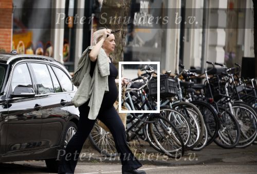 Amsterdam 21 juli 2023
Eva Jinek bij Artis na bespreking redaktie . Eva is zwanger