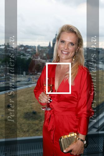 Amsterdam 29 juni 2023
Opening nieuwe rooftop bar in het Double Tree Hilton Hotel.
Eveline Stallaart