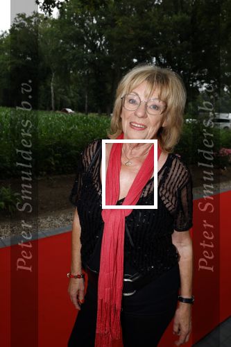 Holten 29 juni 2023
25 jaar Rooftop studio\'s van Edwin v Hoevelaak .
Getty Kaspers kwam met haar partner